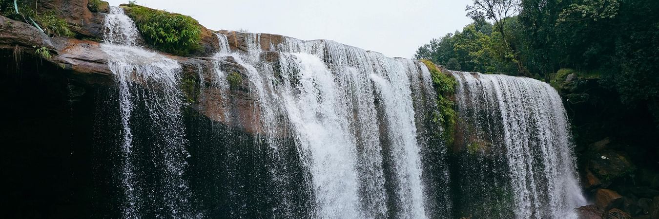 Cascading waterfall flowing into turquoise pool surrounded by lush green forest vegetation