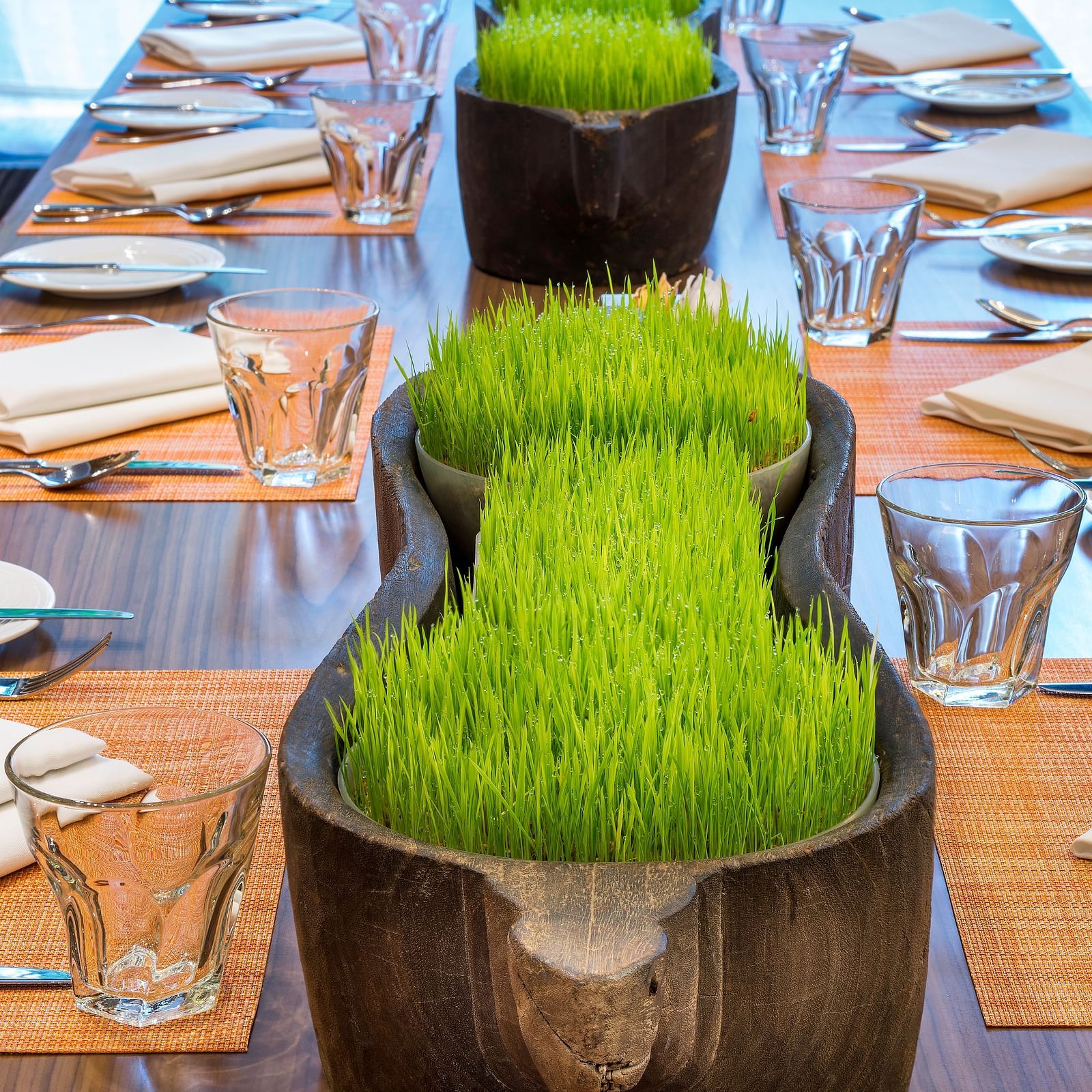 A dining table at hotel raintree with grass pots kept on it alongside glasses