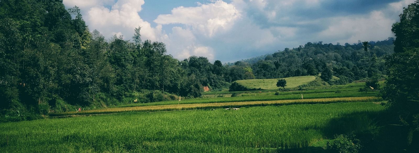 Landscape photograph of a green field with a blue sky and white clouds.
