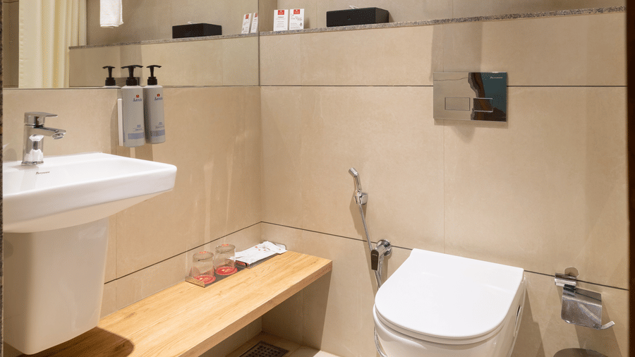 Standard Room Washroom