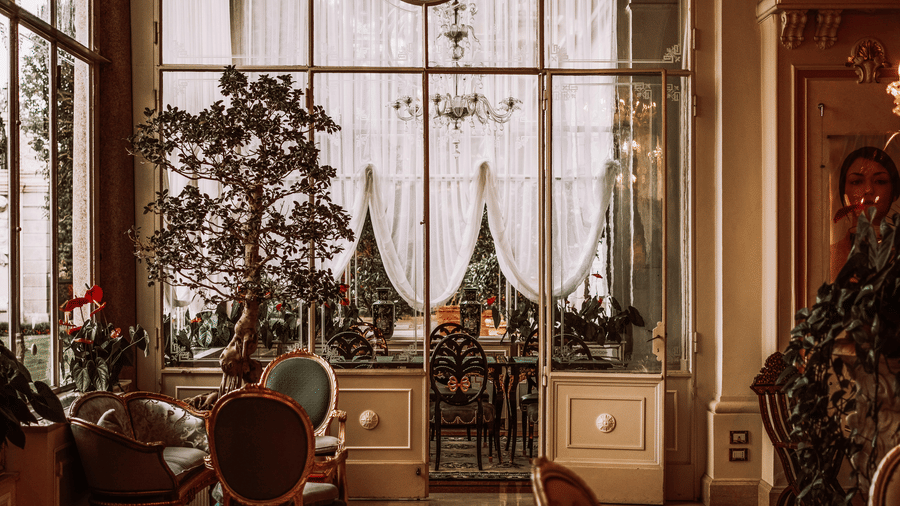 pexels-mikitayo-17926435