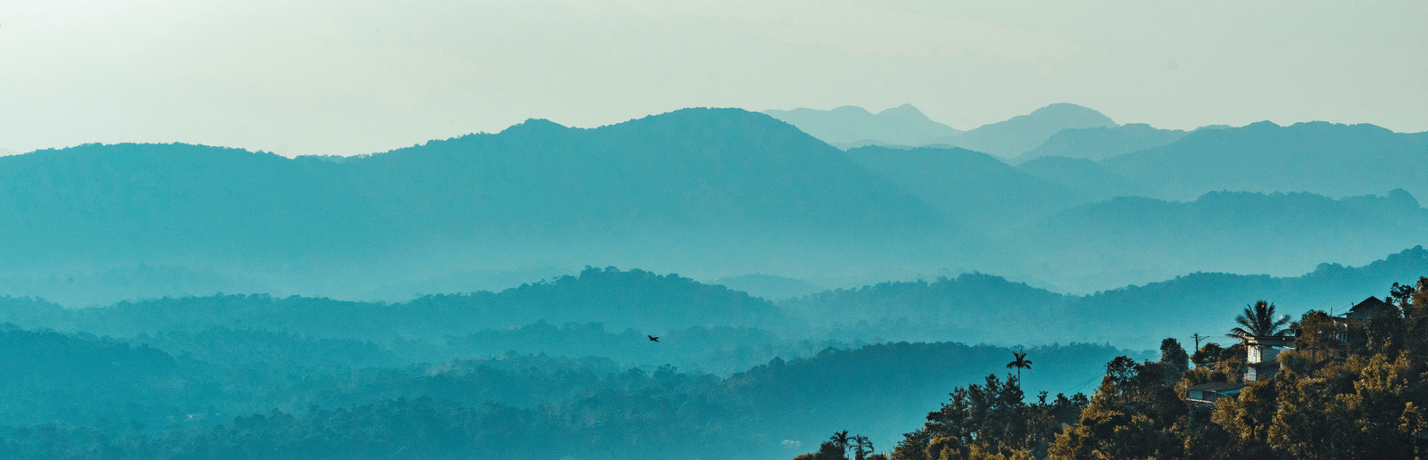 Panoramic view of Coorg's forest-covered hills and layered Western Ghats under soft morning light, observed from Rajas Seat.