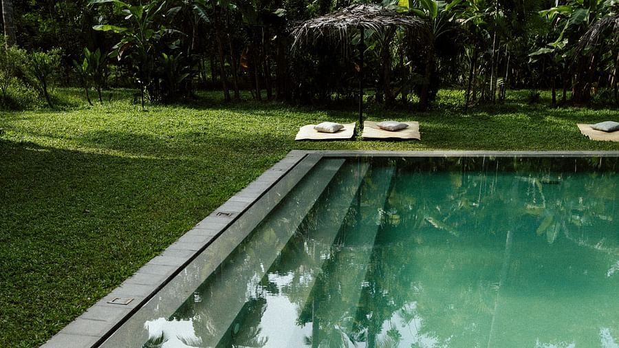 View of swimming pool with shadow of cocount trees surrounded by lawn.