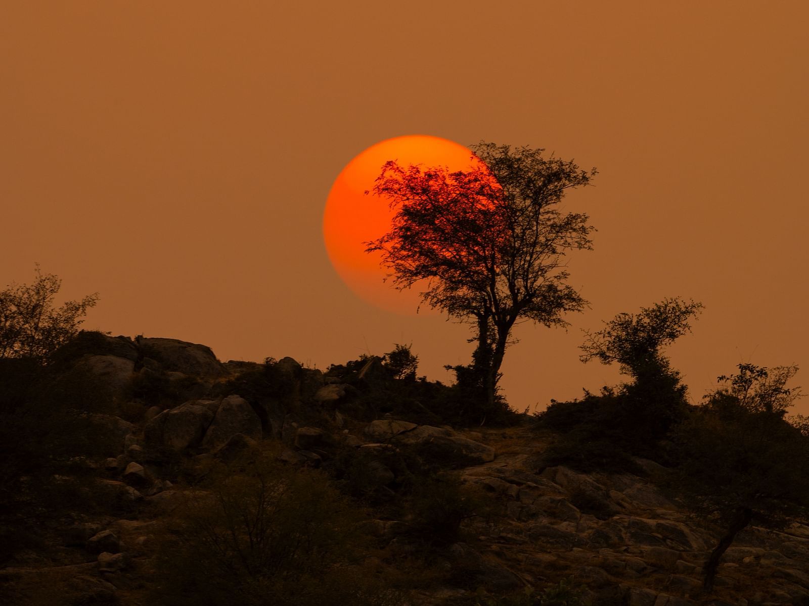 A beautiful sunset with warm lighting