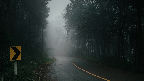 A winding road in a misty forest, with tall trees lining both sides and a curve warning sign on the left.