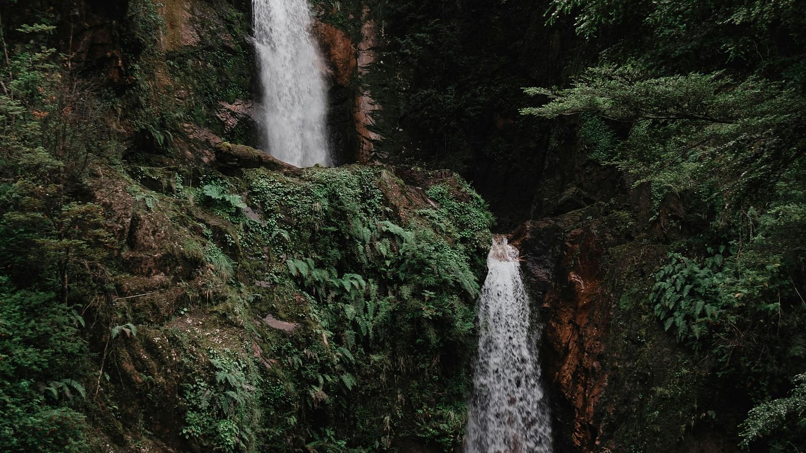 A view of waterfall surrounded by lush green forest.