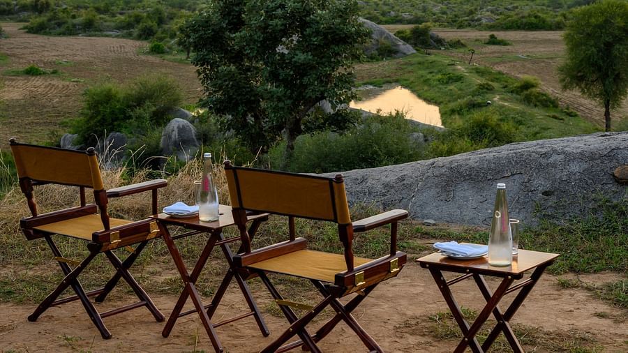 An image of an outdoor seating amidst greenery over viewing the mountains - Utsav Camp Sariska