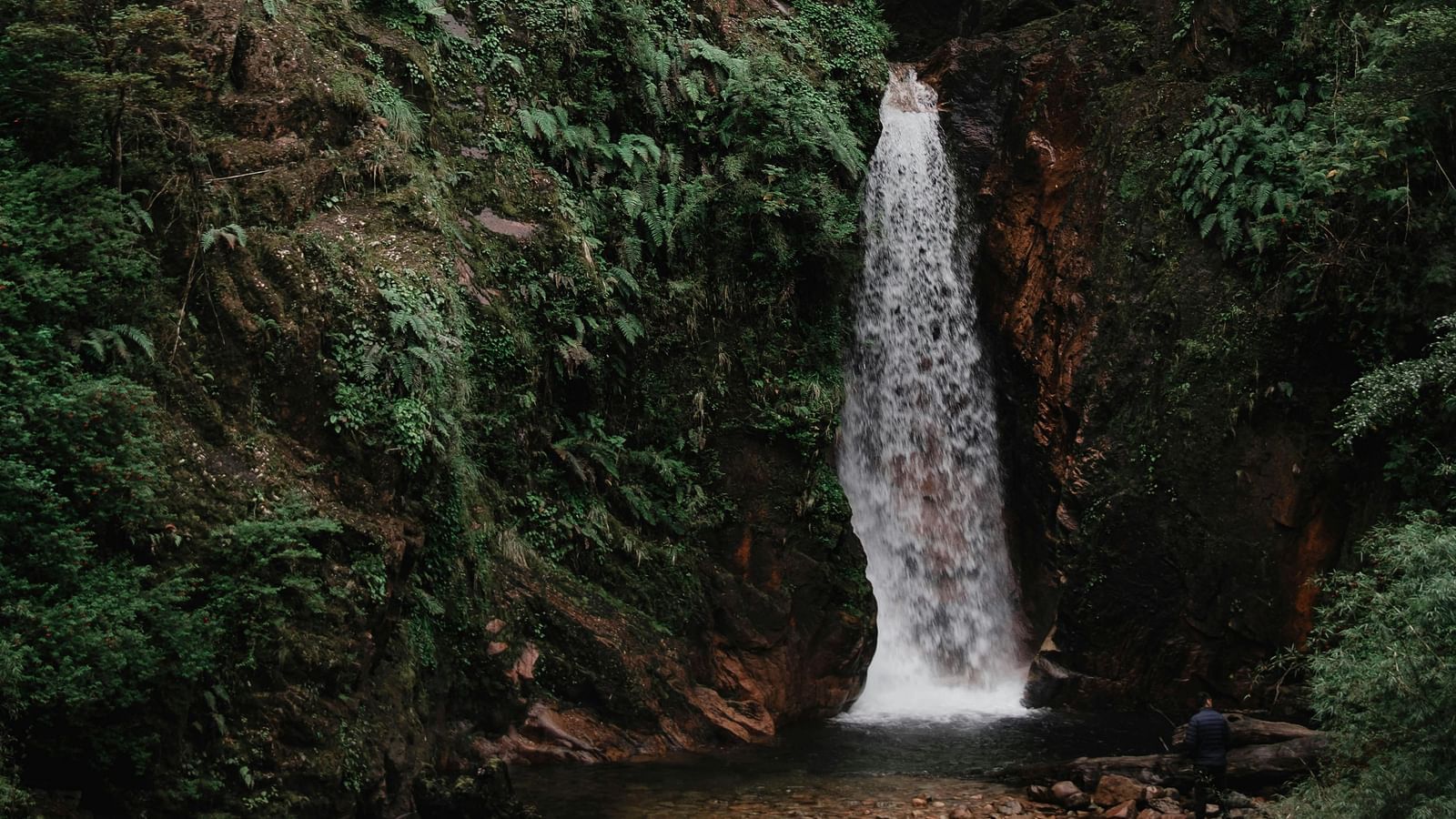 A view of waterfall surrounded by lush green forest.