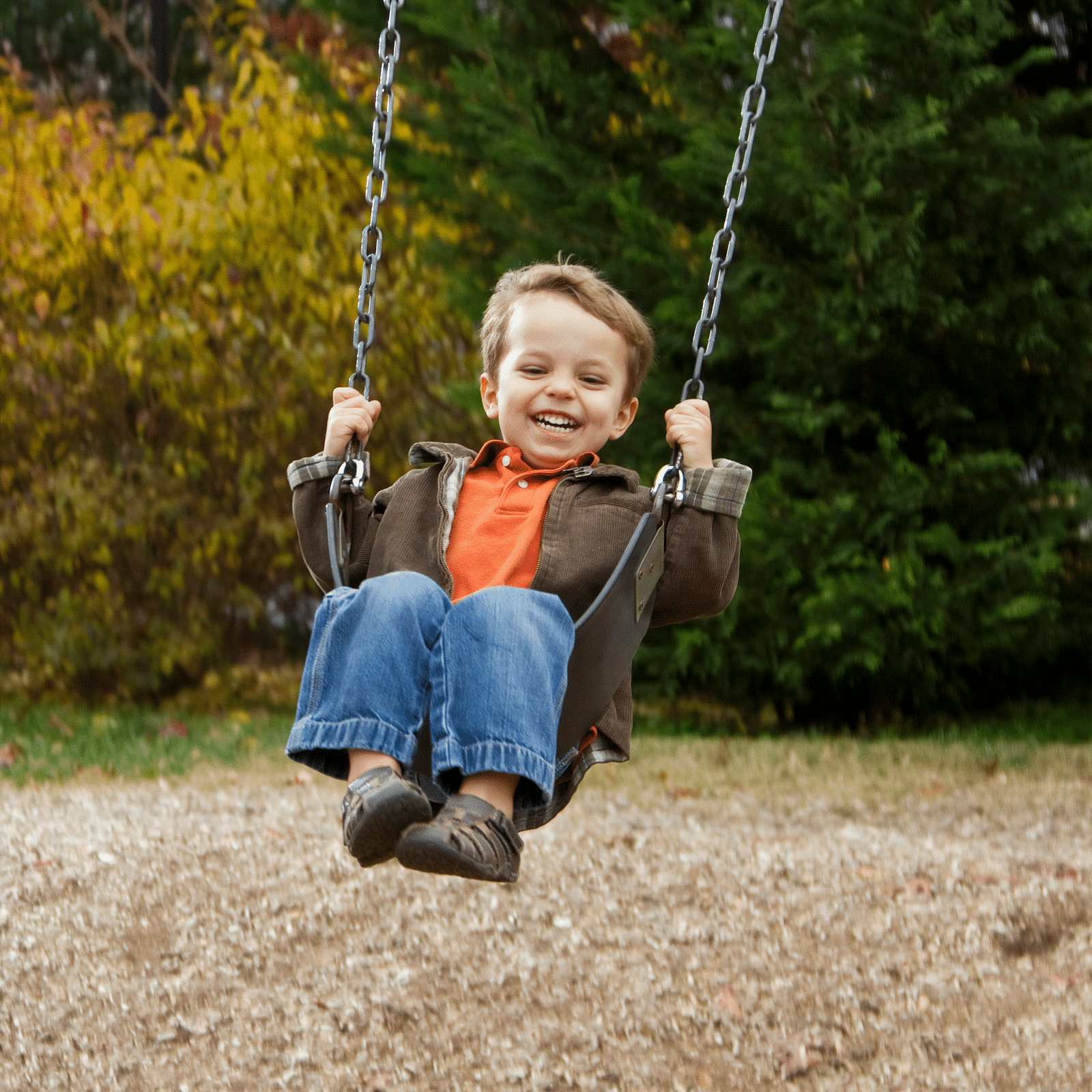 A child enjoying a swing with trees in the background.