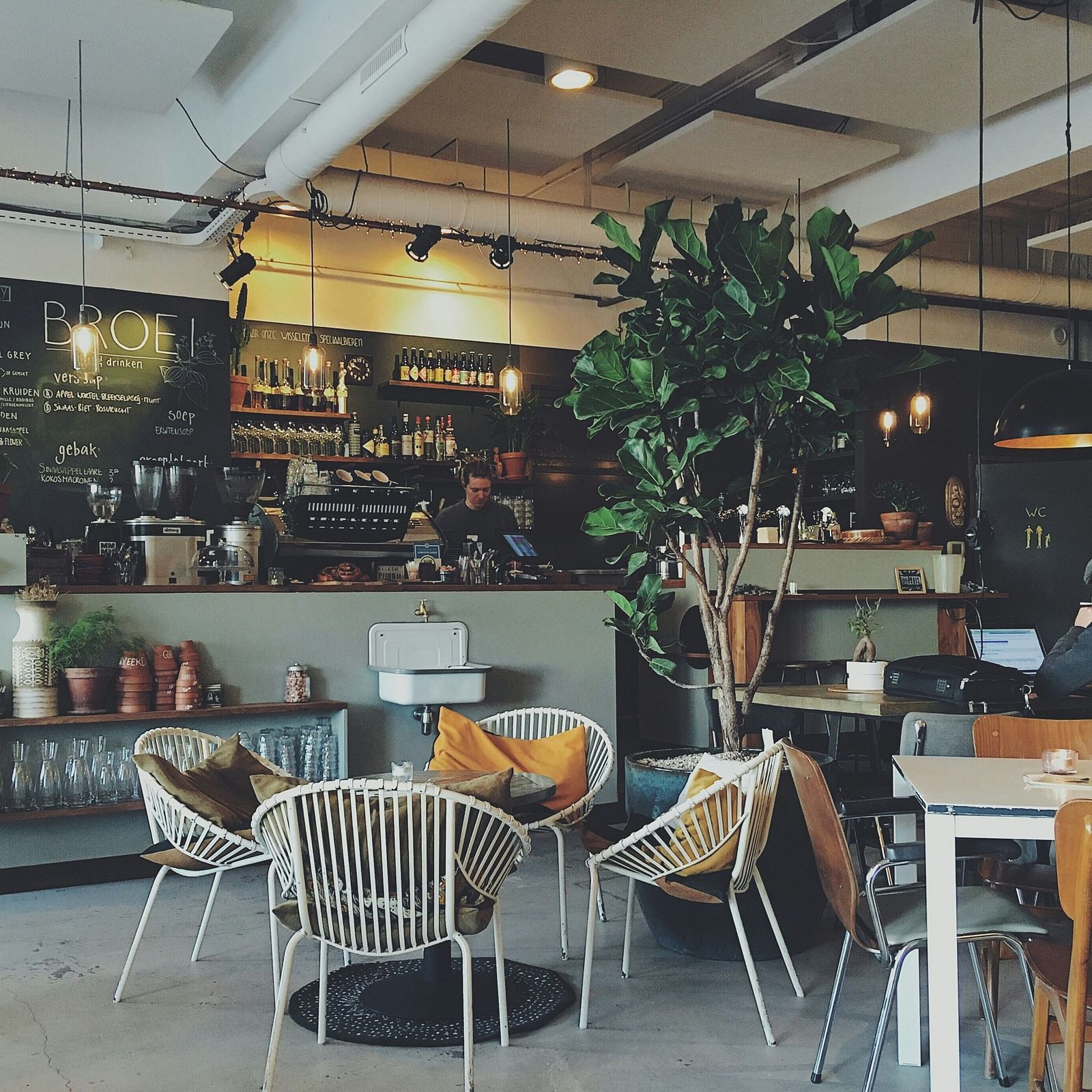 Cafe with chairs and tables and and counter table with a plant besides it