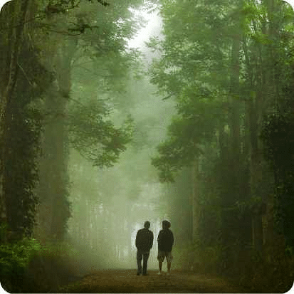 Image of two people walking between a forest covered with mist.