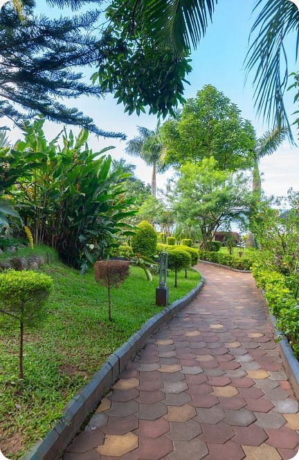 Image of a footpath with trees and plants on the side.