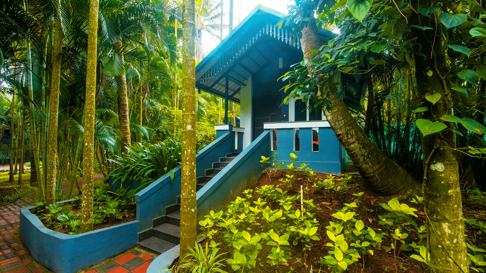Facade of an accommodation surrounded by lush greenery.