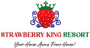 strawberry King managed by Sahyagiri
