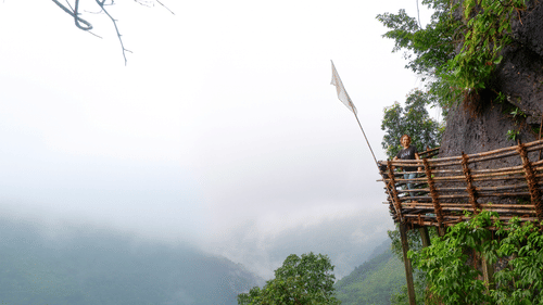 a view of the bamboo trek with bamboo barricades along a mountain side