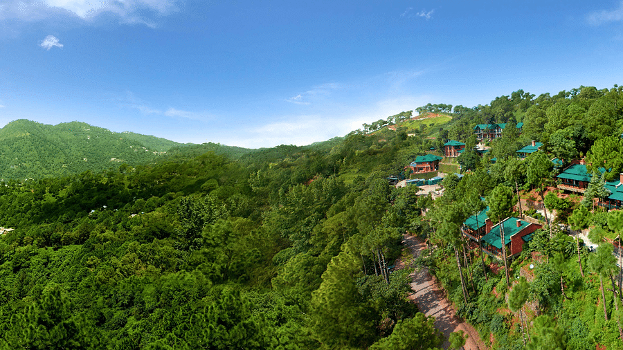 a drone shot of the hotel with the property covered with and surrounded by trees - Baikunth Resort, Kasauli