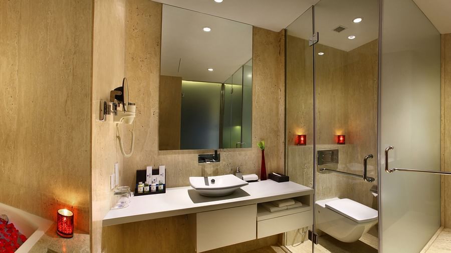 Deluxe Room Park Plaza East Delhi 1