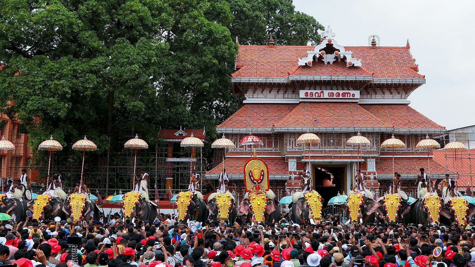 image of several ornamented elephants lined up surrounded with a lot of crowd