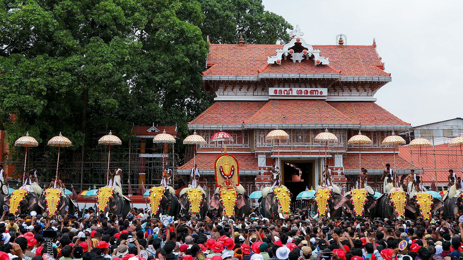 image of several ornamented elephants lined up surrounded with a lot of crowd
