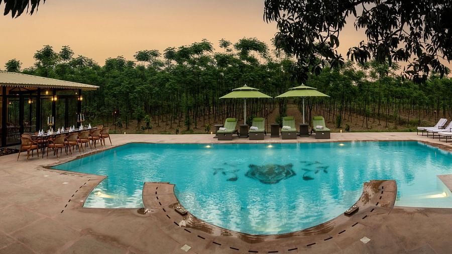 A huge swimming pool with sun loungers seen during an evening - Aalia Jungle Resort & Spa
