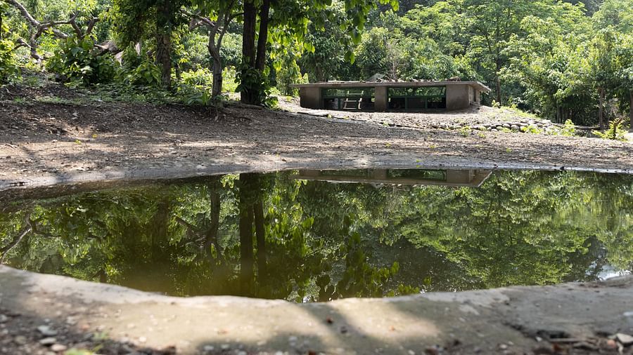 A photo of a small pond surrounded by trees, with the reflection of trees on water..