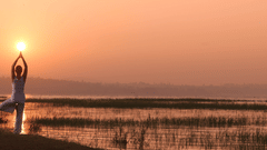 a guest practicing yoga at The Serai Resort Kabini 0016