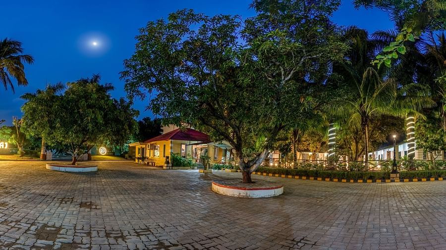 Facade view of Saavaj at night