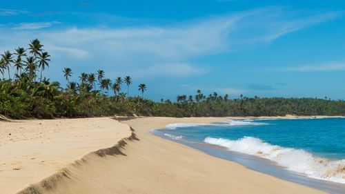 A pristine beach with golden sands, swaying palm trees, and turquoise waters under a clear blue sky.
