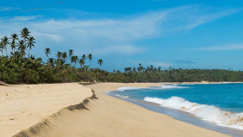 A pristine beach with golden sands, swaying palm trees, and turquoise waters under a clear blue sky.