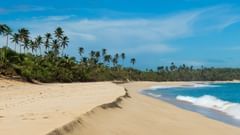 A pristine beach with golden sands, swaying palm trees, and turquoise waters under a clear blue sky.