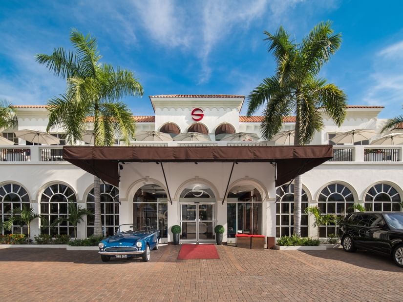 A close-up shot of the entrance to our hotel, framed by striking palm trees and parked cars - S Hotel Kingston, Jamaica