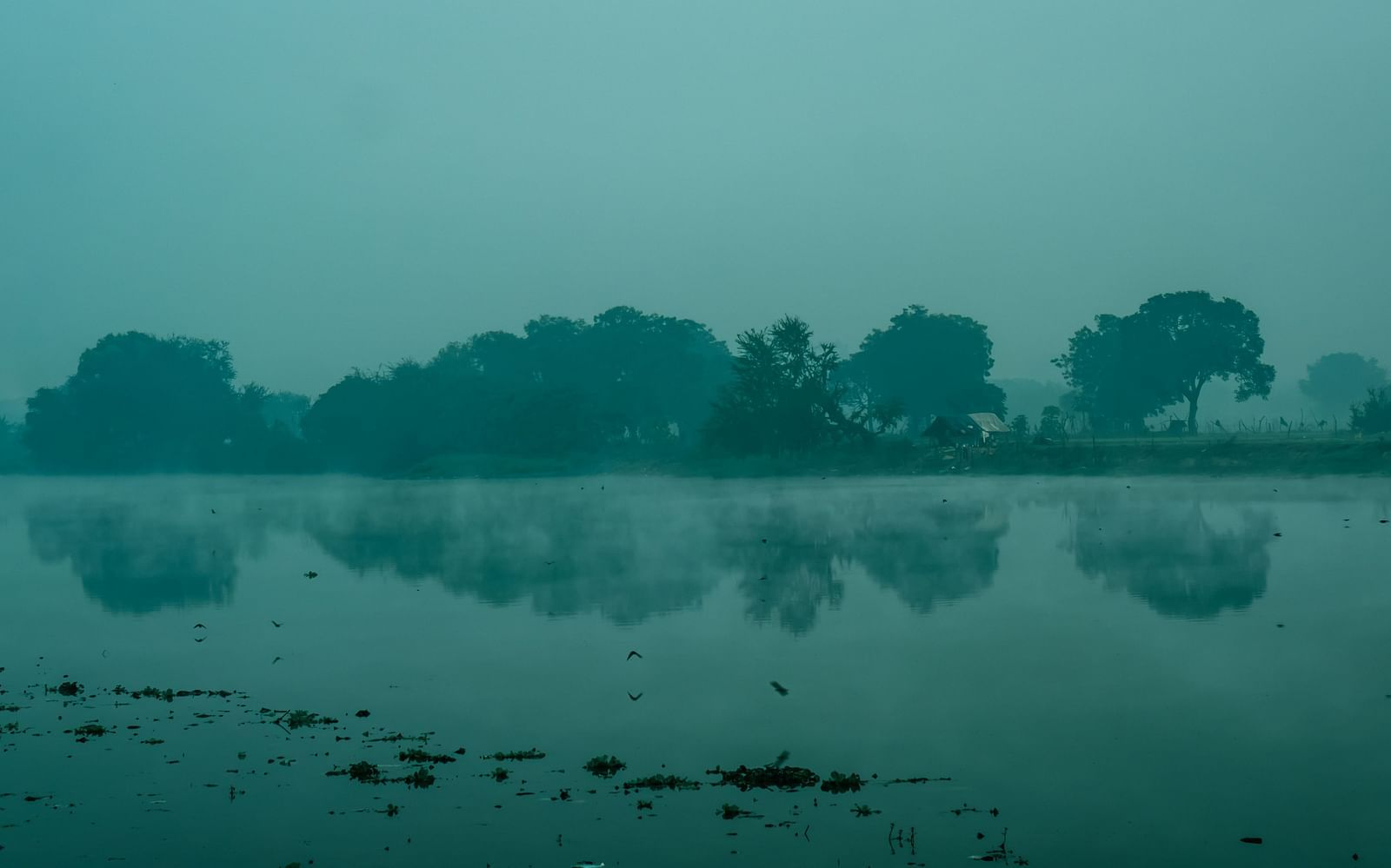 An overview of a lake with an island in the distance having trees.