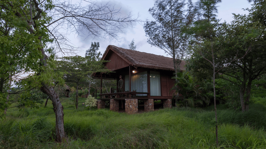 A small timber cabin elevated on stone pillars sits amongst lush green trees and tall grass at The Serai Bandipur under a cloudy sky.