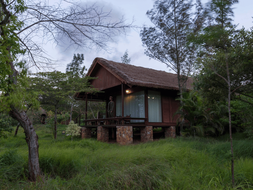 A small timber cabin elevated on stone pillars sits amongst lush green trees and tall grass at The Serai Bandipur under a cloudy sky.