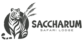 Saccharum Logo Artwork-5