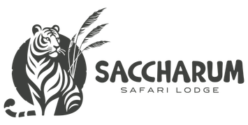 Saccharum Logo Artwork-5