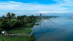An aerial view of the fishing net system being deployed in the backwaters kochi