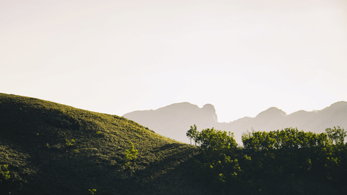 arfan-a-1278898-unsplash