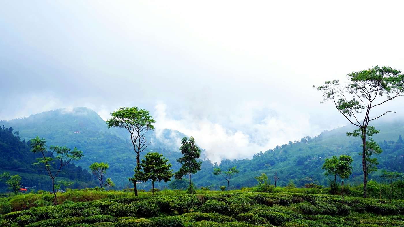pexels-shalenderkumar-6741747