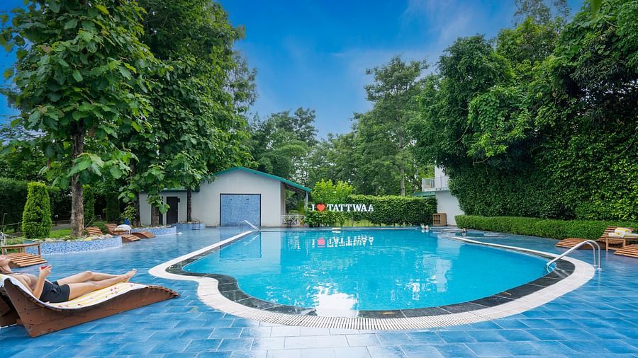 A wide-angle view of the swimming pool framed by lush trees at Tattwaa.