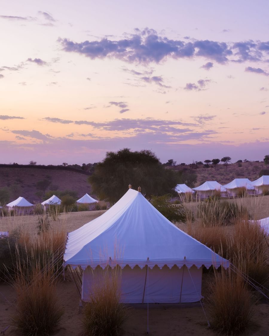Tents at Manvar Resort and Desert Camp during the evening - 2