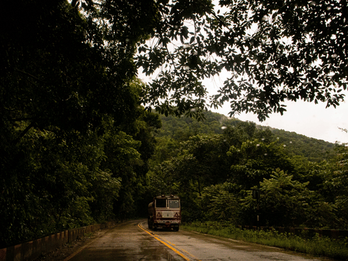 A truck travelling along a road through the Western Ghats, surrounded by dense trees and lush green canopies.