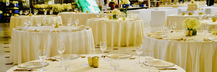 banquet hall in magnus hotels and apartments