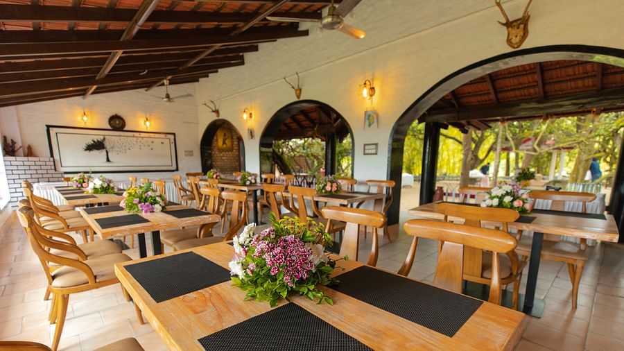 Close up of the seating arrangements at The canopy, Capitol Village Resort, Madikeri