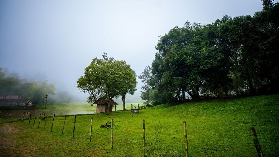 An overview of the nature setting at Capitol Village Resort Madikeri