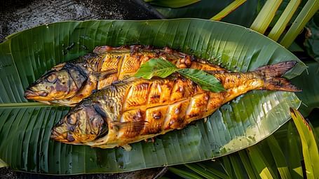 Dish made of fish presented on a large leaf with minimal garnish.
