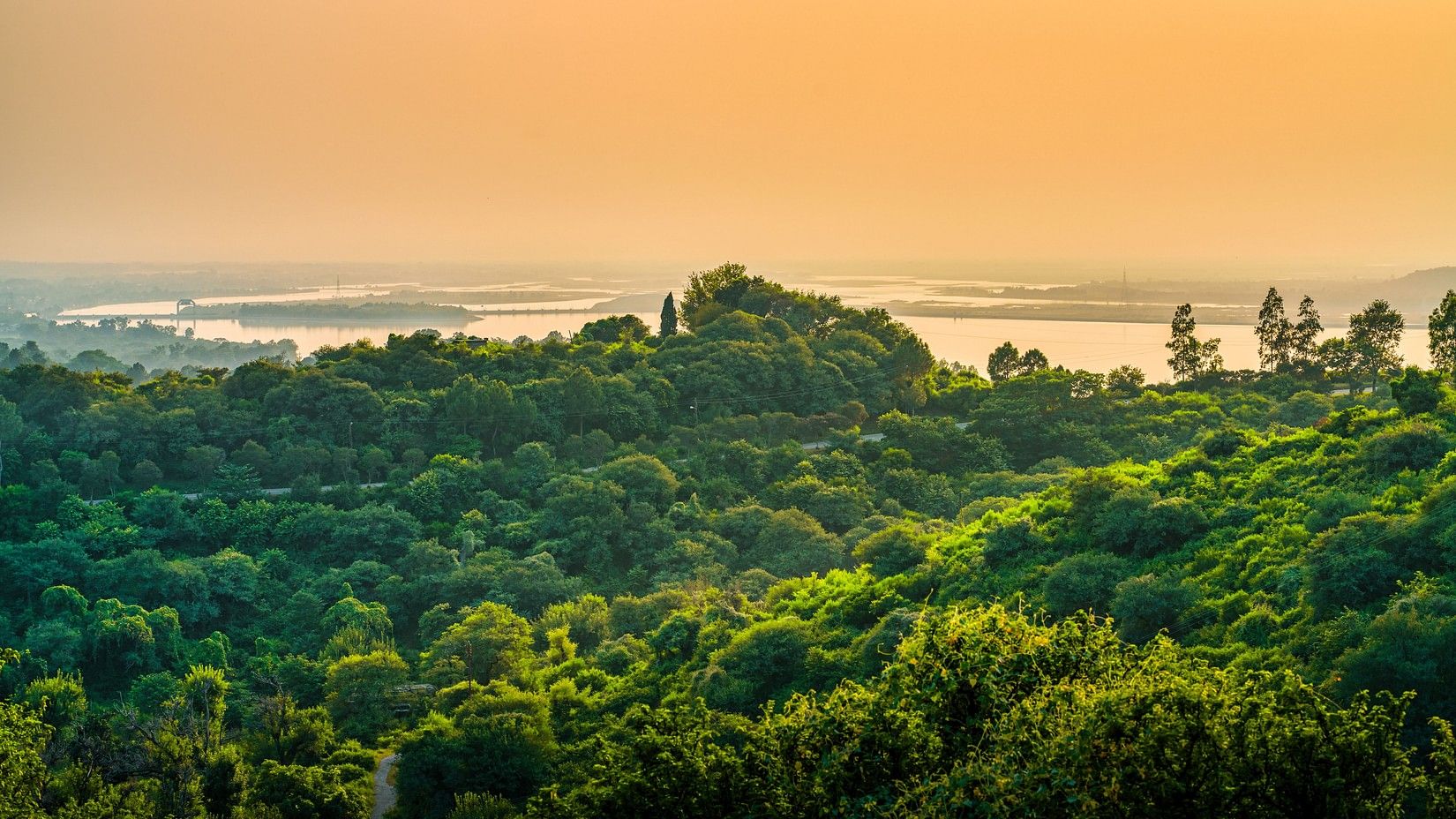 A scenic vista of rolling hills meeting a body of water under a warm-toned sky.