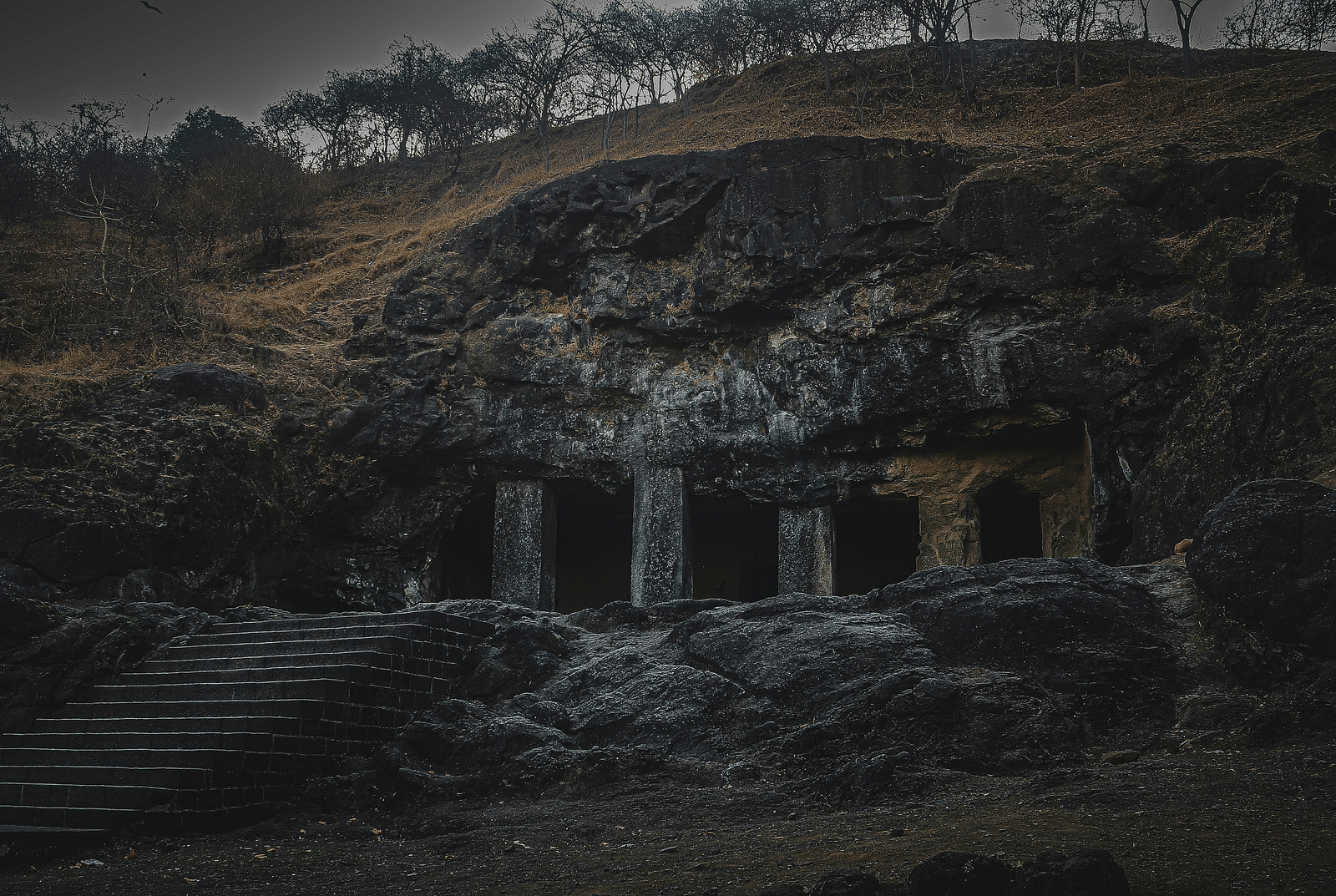 an image of a cave with bushes at the back.