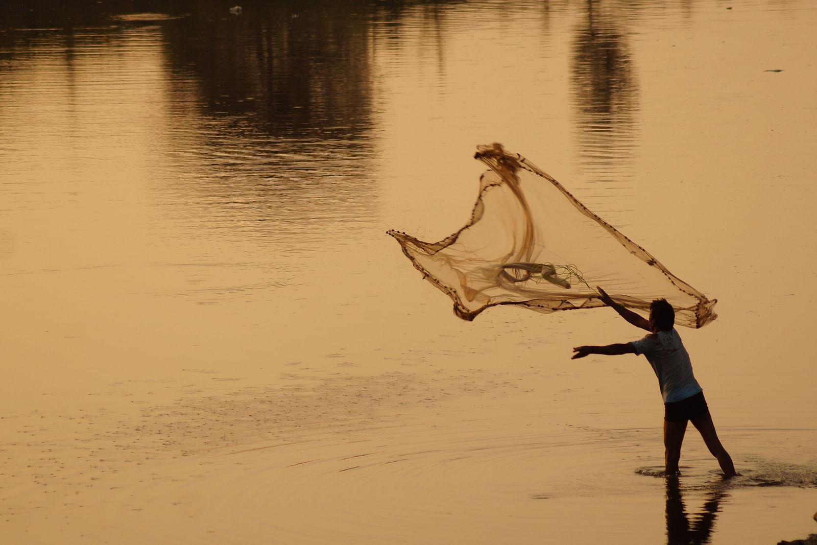 An overview of a person throwing a fishing net into a waterbody to catch fishes.