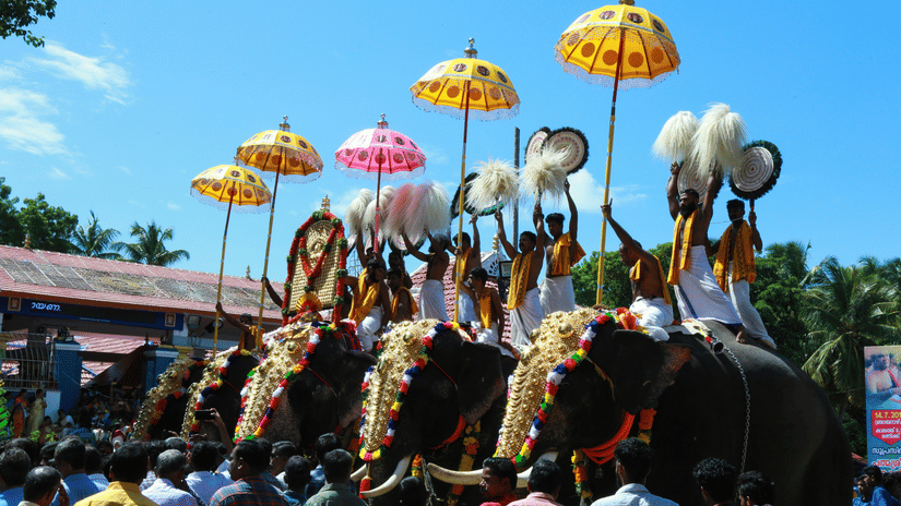 Ornate elephants adorned with colourful parasols participate in a traditional procession.